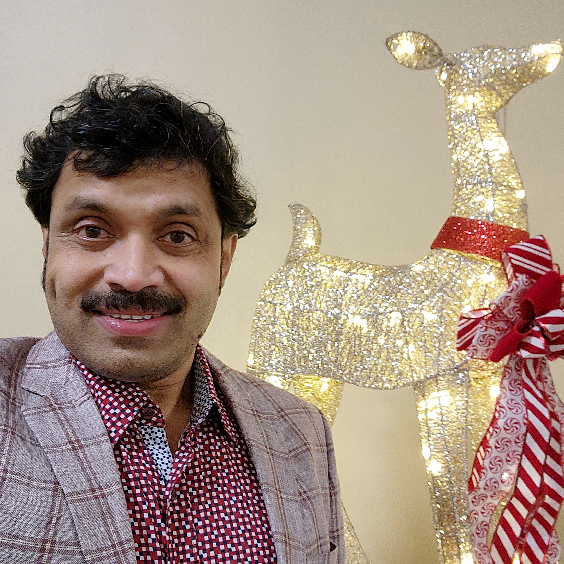 Selva Jayaraman (BI COO) with a light-up holiday reindeer decoration at the HRC party